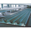 0 grado Flat Moving Walkway para el aeropuerto (XNW-003)